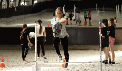 Хоббихорсинг в России