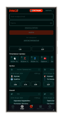 Вход в аккаунт PINCO